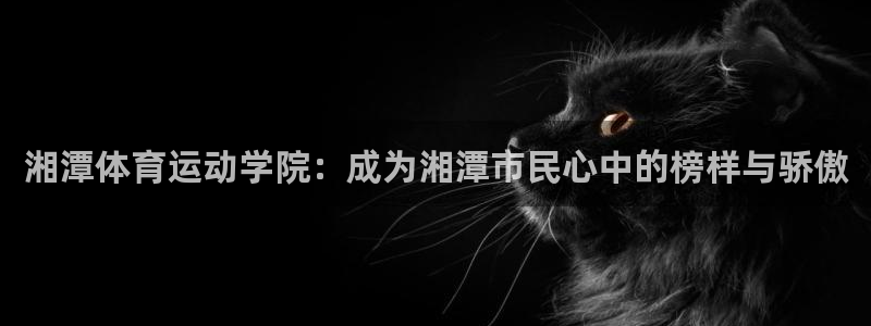 vsport体育