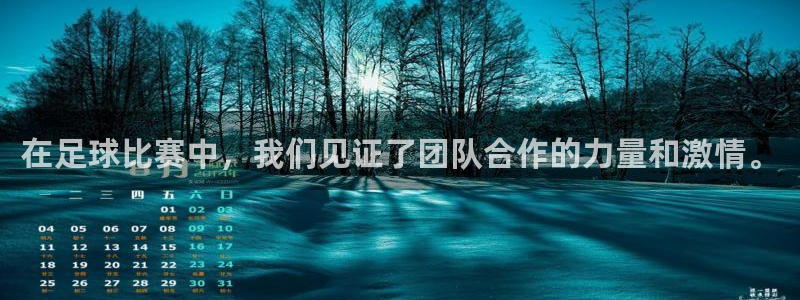 vsport体育在线官网：在足球比赛中，我们见证了团队合作的力量和激情。