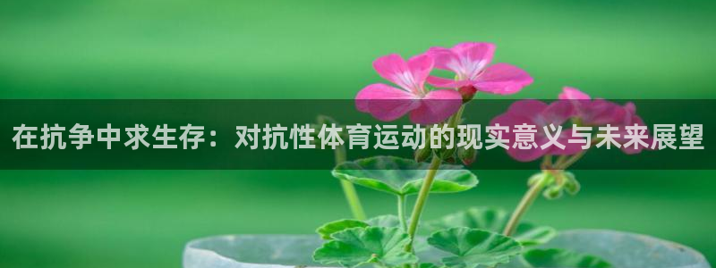 vsport体育：在抗争中求生存：对抗性体育运动的现实意义与未来展望