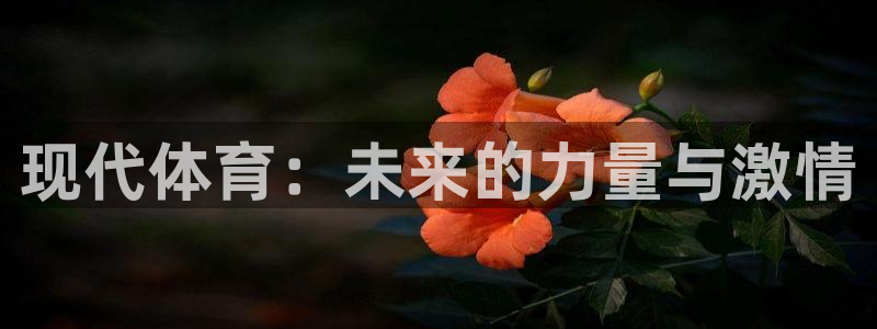 vsport体育：现代体育：未来的力量与激情