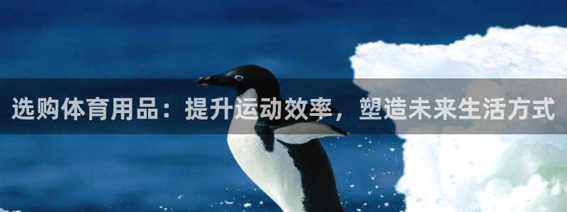 vsport体育：选购体育用品：提升运动效率，塑造未来生活方式