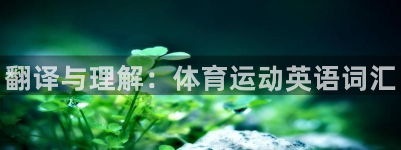 vsport体育在线官网：翻译与理解：体育运动英语词汇