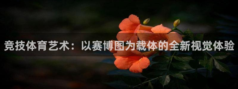 vsport体育：竞技体育艺术：以赛博图为载体的全新视觉体验