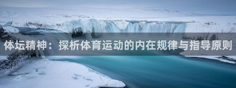 vsport体育：体坛精神：探析体育运动的内在规律与指导原则