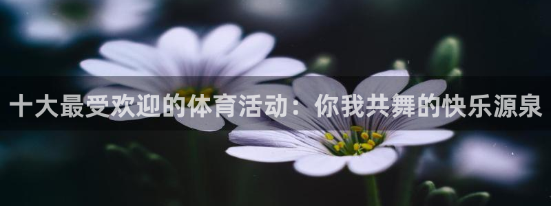 vsport体育：十大最受欢迎的体育活动：你我共舞的快乐源泉