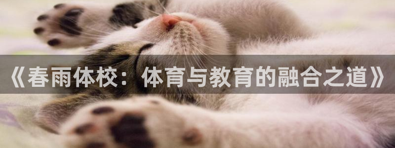 vsport体育在线官网：《春雨体校：体育与教育的融合之道》