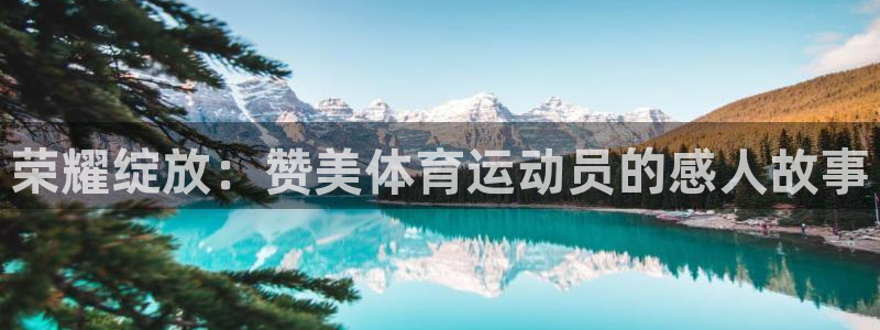 vsport体育在线官网：荣耀绽放：赞美体育运动员的感人故事